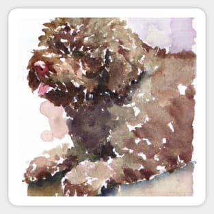 Lagotto Romagnolo Watercolor - Dog Lovers Sticker